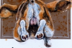6 beagle1